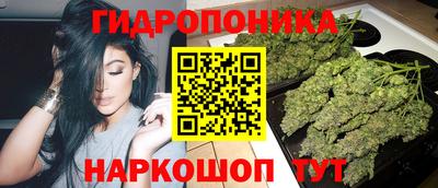 spice Партизанск