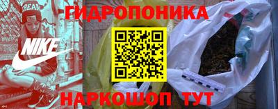индика Пушкино