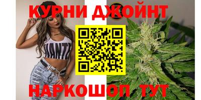 гидропоника Пугачёв