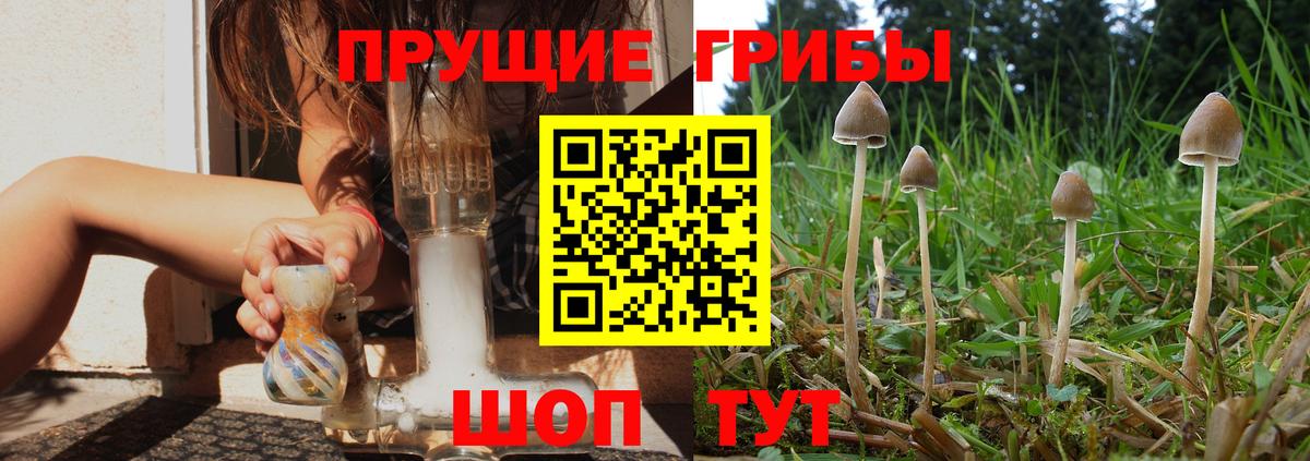 Псилоцибиновые грибы ЛСД  Галлюциногенные грибы Psilocybe  Азов  закладка  Вход с VPN 