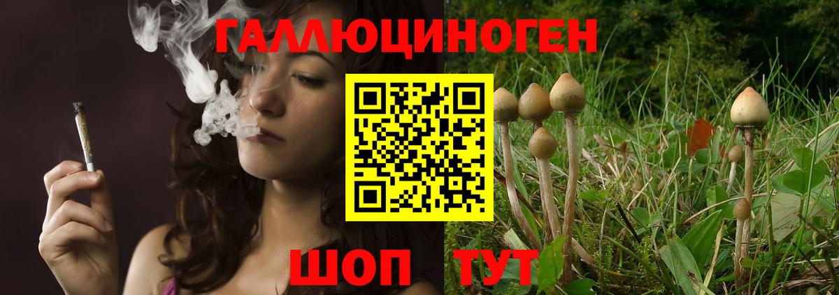 Галлюциногенные грибы мицелий Азов